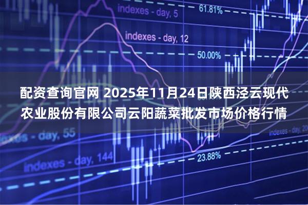 配资查询官网 2025年11月24日陕西泾云现代农业股份有限公司云阳蔬菜批发市场价格行情